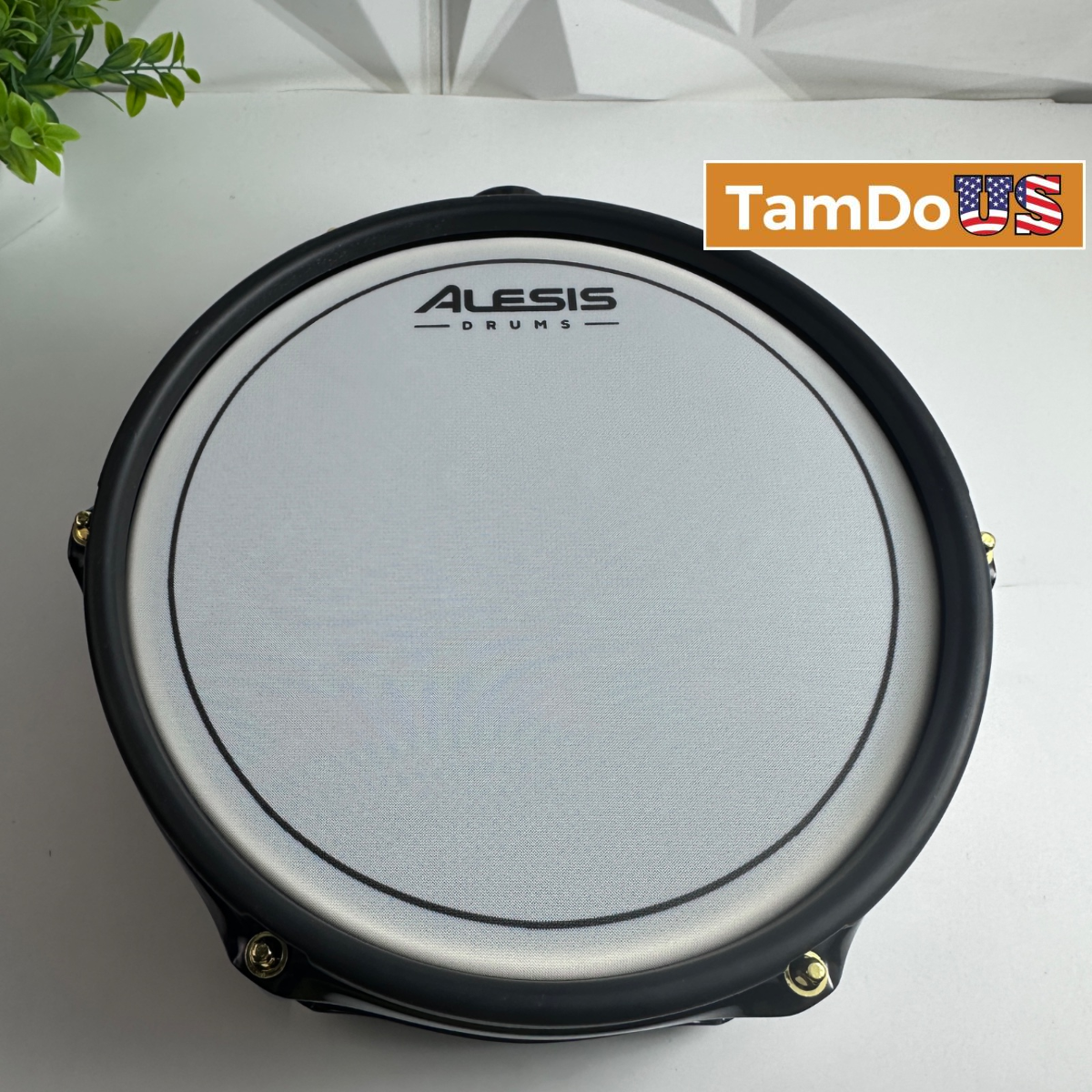 Alesis Strike Pro SE 10" Dual Zone Mesh Head Electronic Tom Drum Pad Trigger - Photo 1 - Real photo at TamDo.us