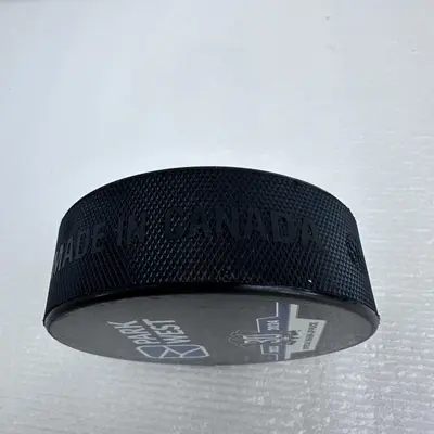 Anaheim Ducks 30th Anniversary Warm Up Puck - Excellent - Real photo at TamDo.us