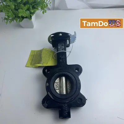 Apollo LD14125BE11A Valve, 25mm, 200 PSI, Lead-Free, New - New - Real photo at TamDo.us