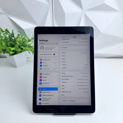 Apple iPad (5th Gen) 32GB, Wifi Only, Space Gray - Thumbnail 7