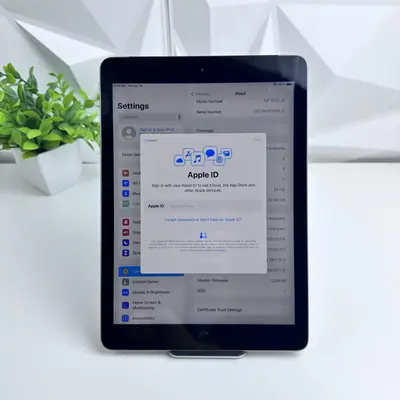 Apple iPad (5th Gen) 32GB, Wifi Only, Space Gray - Thumbnail 6