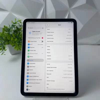 Apple iPad (A16) 11th Gen | Wi-Fi + Cellular | 256GB | Silver - Thumbnail 6