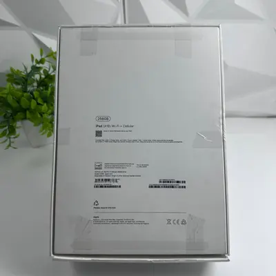 Apple iPad (A16) 11th Gen | Wi-Fi + Cellular | 256GB | Silver - Thumbnail 8