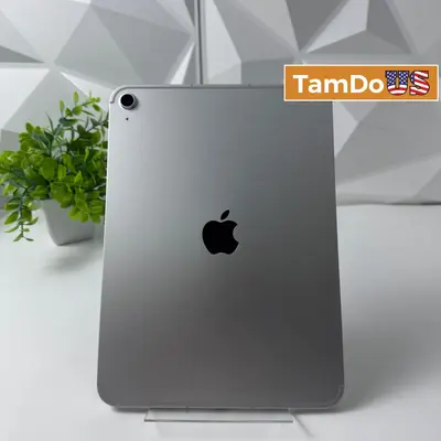 Apple iPad (A16) 11th Gen | Wi-Fi + Cellular | 256GB | Silver - Excellent - Real photo at TamDo.us
