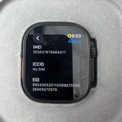 Apple Watch Ultra 3 (GPS+Cellular) 49mm Titanium Case Black Alpine Loop Band M - Thumbnail 8