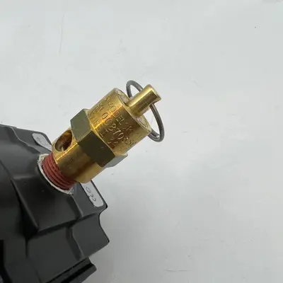 ATEX Explosion Proof Air Pressure Regulator Valve Assembly FOR Air Systems - Thumbnail 5
