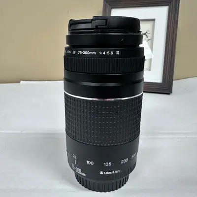 Canon EF 75-300mm f/4-5.6 III Telephoto Zoom Lens - Thumbnail 9