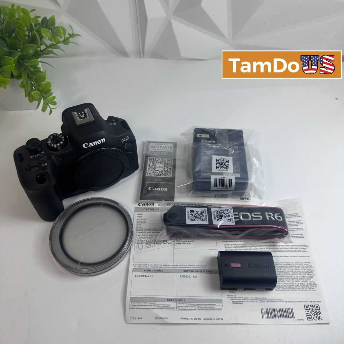Canon EOS R6 Mark II Mirrorless Camera Body Only 24.2MP 4K60p - Photo 1 - Real photo at TamDo.us