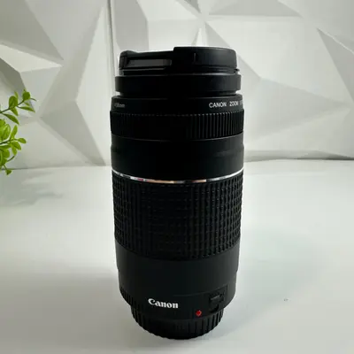 Canon EOS Rebel T7 Premium Kit DSLR Camera 18-55mm IS II & 75-300mm Lenses Bag - Thumbnail 10