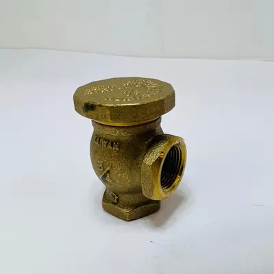 Champion 3/4" Brass Atmospheric Vacuum Breaker Anti-Siphon Valve Model VB-12662Y - Thumbnail 5