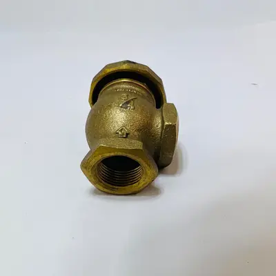 Champion 3/4" Brass Atmospheric Vacuum Breaker Anti-Siphon Valve Model VB-12662Y - Thumbnail 4