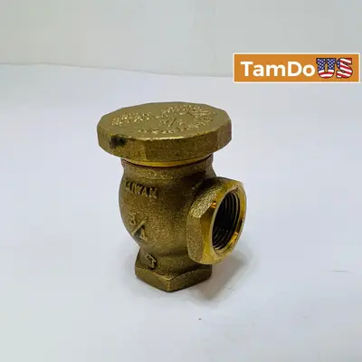 Champion 3/4" Brass Atmospheric Vacuum Breaker Anti-Siphon Valve Model VB-12662Y - Thumbnail 1