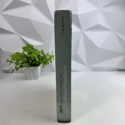 Goffman Handbuch: Leben – Werk – Wirkung - Thumbnail 4