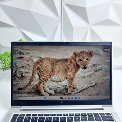 HP EliteBook 630 G10 Laptop, 13.3" FHD, i7-1365U, 32GB, 512GB SSD *Pls READ* - Thumbnail 9