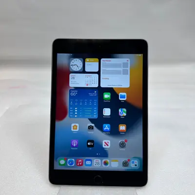 iPad mini (4th Generation) Wi-Fi Only, 64GB, Space Gray - Thumbnail 2