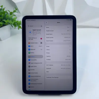 iPad mini (A17 Pro chip) Wi‑Fi Only | 256GB | Space Gray - Thumbnail 4