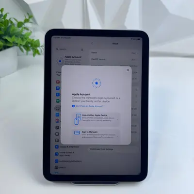 iPad mini (A17 Pro chip) Wi‑Fi Only | 256GB | Space Gray - Thumbnail 5