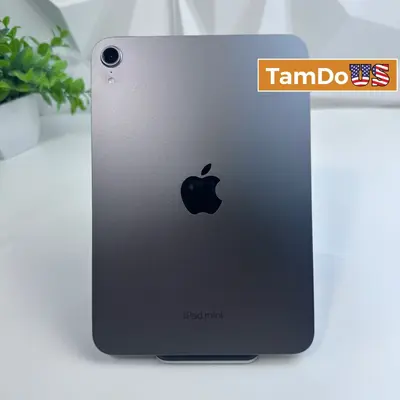 iPad mini (A17 Pro chip) Wi‑Fi Only | 256GB | Space Gray - Thumbnail 1
