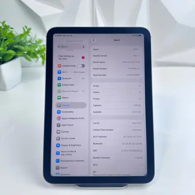 iPad mini (A17 Pro) Wi-Fi + Cellular | 128GB | Space Gray - Thumbnail 6