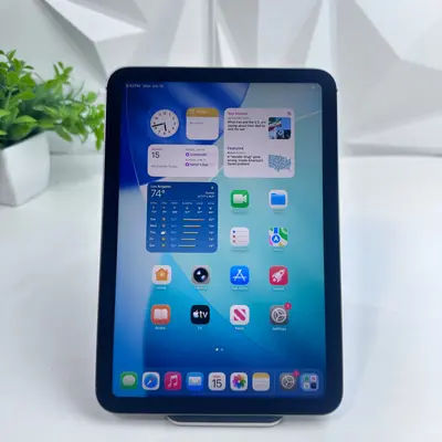 iPad mini (A17 Pro) Wi-Fi + Cellular | 128GB | Space Gray - Thumbnail 2