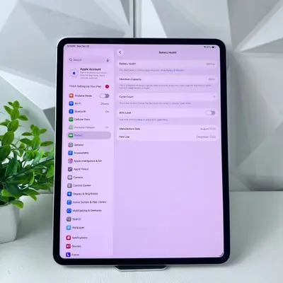 Apple iPad Pro 13-inch (M5) Wi-Fi + Cellular | 256GB | Silver - Thumbnail 7