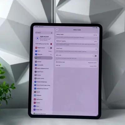 iPad Pro 13-inch (M5) Wi-Fi Only | 512GB | Space Black - Thumbnail 7