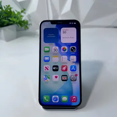iPhone 12 Pro Max | 128GB | Silver | Unlocked - Thumbnail 2