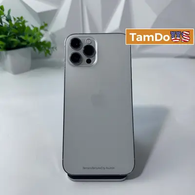 iPhone 12 Pro Max | 128GB | Silver | Unlocked - Good - Real photo at TamDo.us