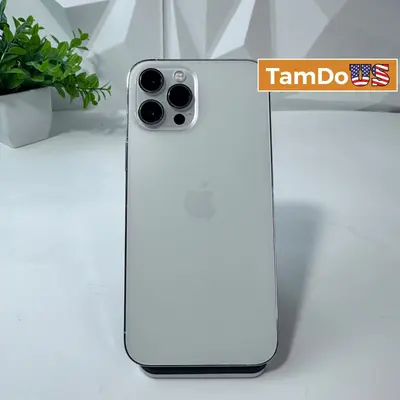 iPhone 12 Pro Max | 128GB | Silver | Unlocked - Good - Real photo at TamDo.us