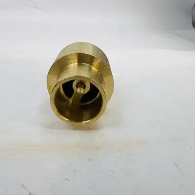 Lead-Free Brass Check Valve CFI 3/4" FNPT, 200 WOG, One-Way Flow Control - Thumbnail 3