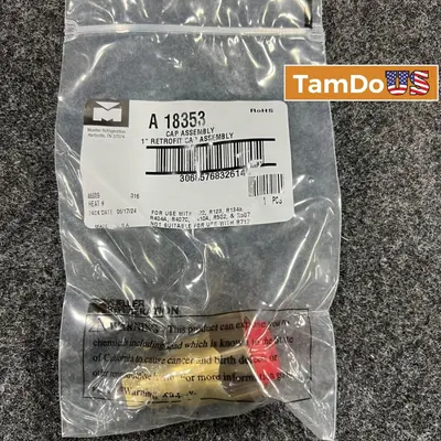 Mueller A18353 1" Retrofit Cap Assembly - New - Real photo at TamDo.us