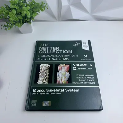 Netter Medical Illustrations Vol 6 Part II Spine & Lower Limb 3rd Edition - Thumbnail 2