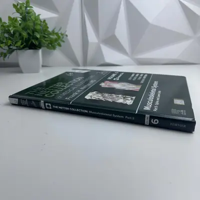Netter Medical Illustrations Vol 6 Part II Spine & Lower Limb 3rd Edition - Thumbnail 3