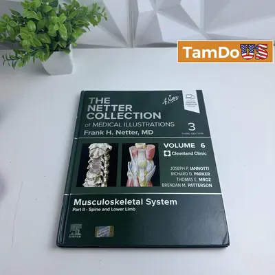 Netter Medical Illustrations Vol 6 Part II Spine & Lower Limb 3rd Edition - New - Real photo at TamDo.us