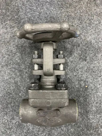 OMB Italy 3/4" Gate Valve Class 800 Forged Steel A105N Industrial Valve - Thumbnail 2
