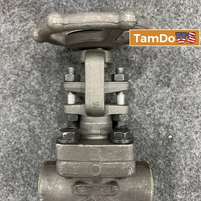 OMB Italy 3/4" Gate Valve Class 800 Forged Steel A105N Industrial Valve - Thumbnail 1