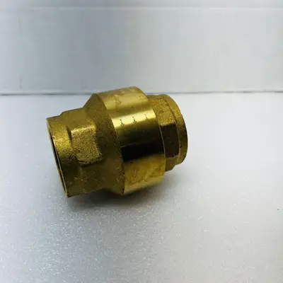 PROFLO PFSCVJ Series 1-1/2 in. Brass Threaded Spring Check Valve - Thumbnail 4