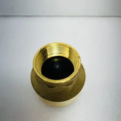PROFLO PFSCVJ Series 1-1/2 in. Brass Threaded Spring Check Valve - Thumbnail 5