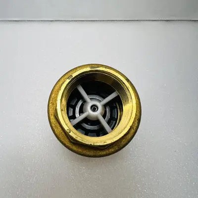 PROFLO PFSCVJ Series 1-1/2 in. Brass Threaded Spring Check Valve - Thumbnail 3