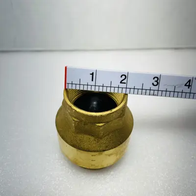 PROFLO PFSCVJ Series 1-1/2 in. Brass Threaded Spring Check Valve - Thumbnail 8