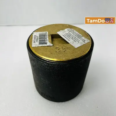 ProFlo PFT384CS 4-inch W/3-1/2" ProFlo 4-inch Threaded Cast Iron Cleanout - Thumbnail 1
