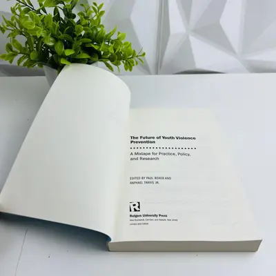The Future Of Youth Violence Prevention: A Mixtape For Practice, Policy, And Research - Thumbnail 4