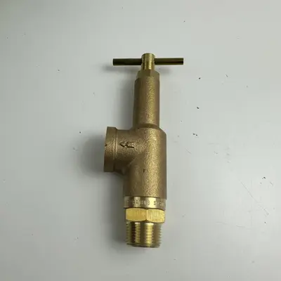 Spraying Systems Brass Control Valve, 300 PSI, 3/4" NPT x 1/2" Side Port - Thumbnail 2