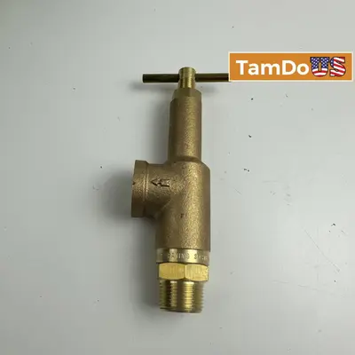 Spraying Systems Brass Control Valve, 300 PSI, 3/4" NPT x 1/2" Side Port - Thumbnail 1