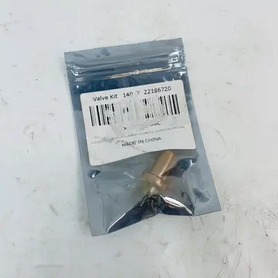 Valve Kit 22186720, 140°F Temperature Rated Replacement Part, Plumbing/Industrial - Thumbnail 2