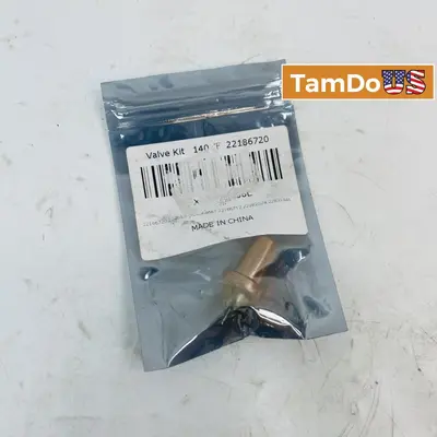 Valve Kit 22186720, 140°F Temperature Rated Replacement Part, Plumbing/Industrial - Thumbnail 1