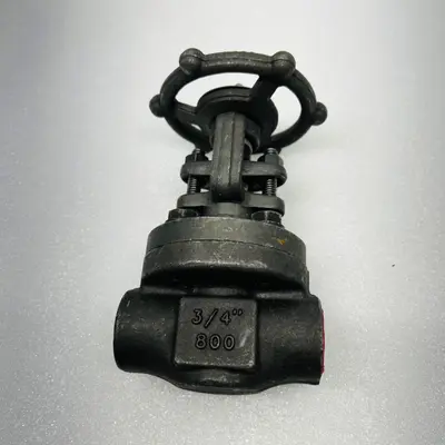 Vogt OEM Forged Gate Valve 800# 3/4" SW12111 AAB84N0000Y NPS Gate A105N 410 HF - Thumbnail 4