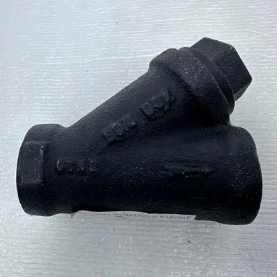 Watts 77S1 3/4" Threaded Cast Iron Wye Pattern Strainer - Thumbnail 3