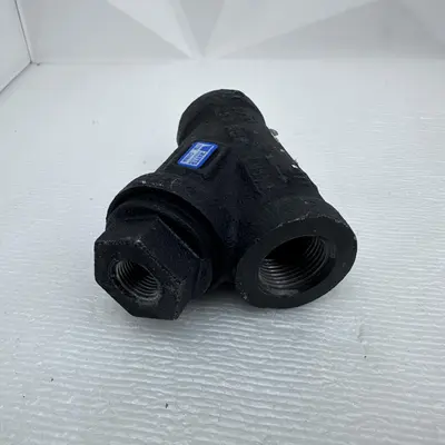 Watts 77S1 3/4" Threaded Cast Iron Wye Pattern Strainer - Thumbnail 1