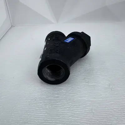 Watts 77S1 3/4" Threaded Cast Iron Wye Pattern Strainer - Thumbnail 2